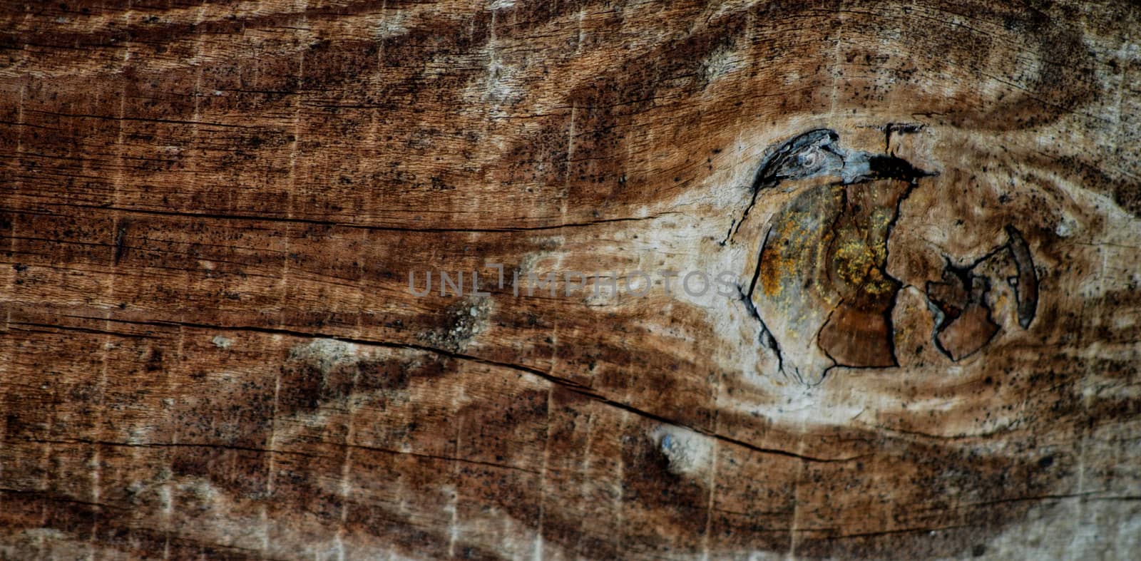 Old wood background, picture of a 