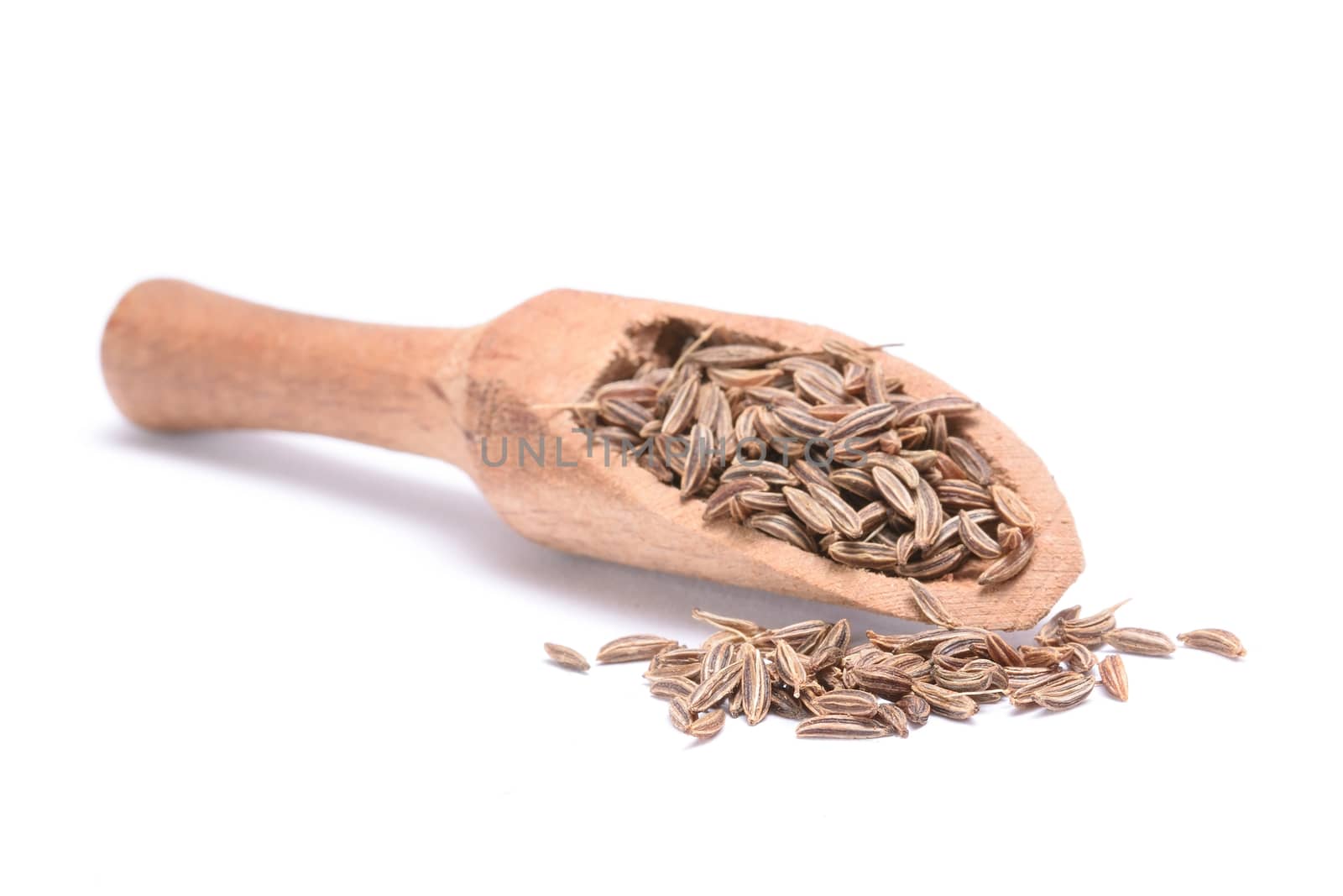 Caraway seed in an olive wood scoop and scattered isolated on white background. by comet
