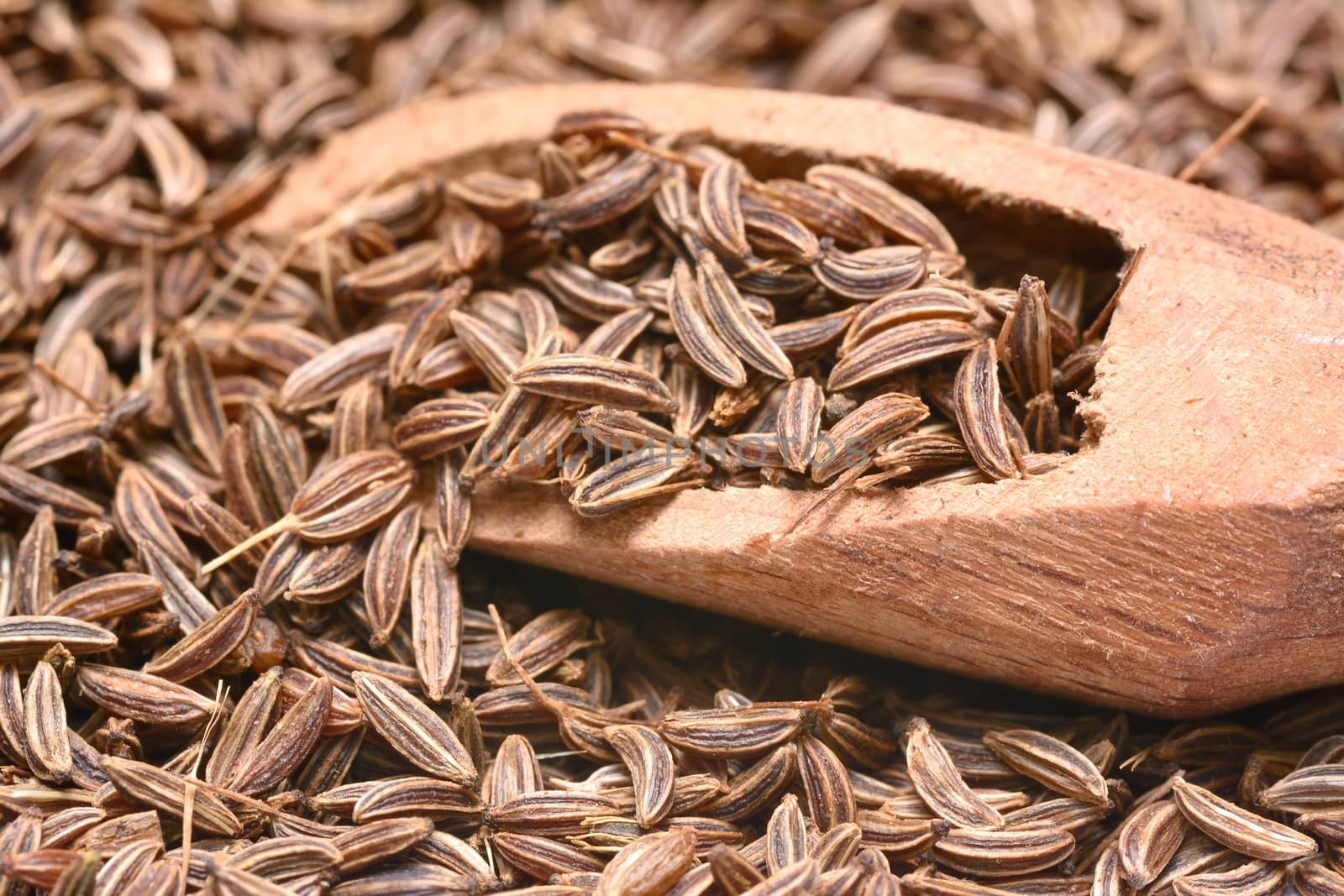 Caraway seed in an olive wood scoop and scattered isolated on white background. by comet