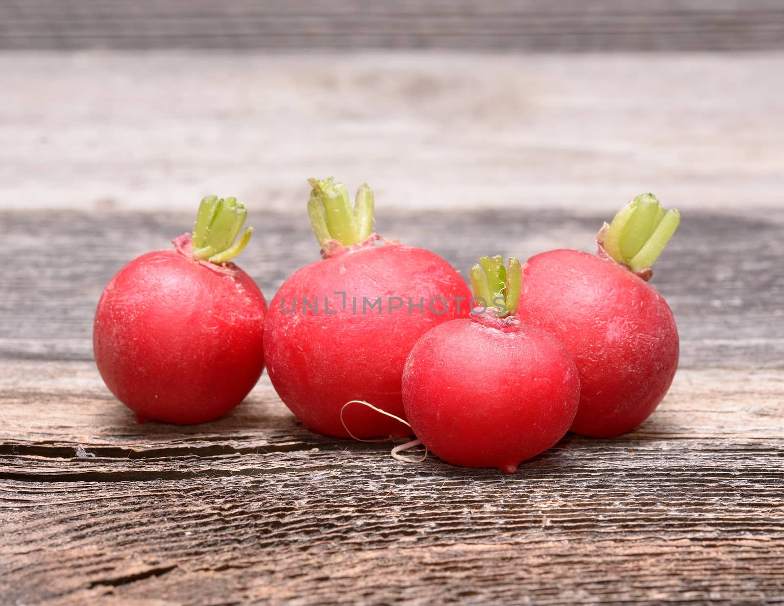 Fresh radishes on wooden table by comet