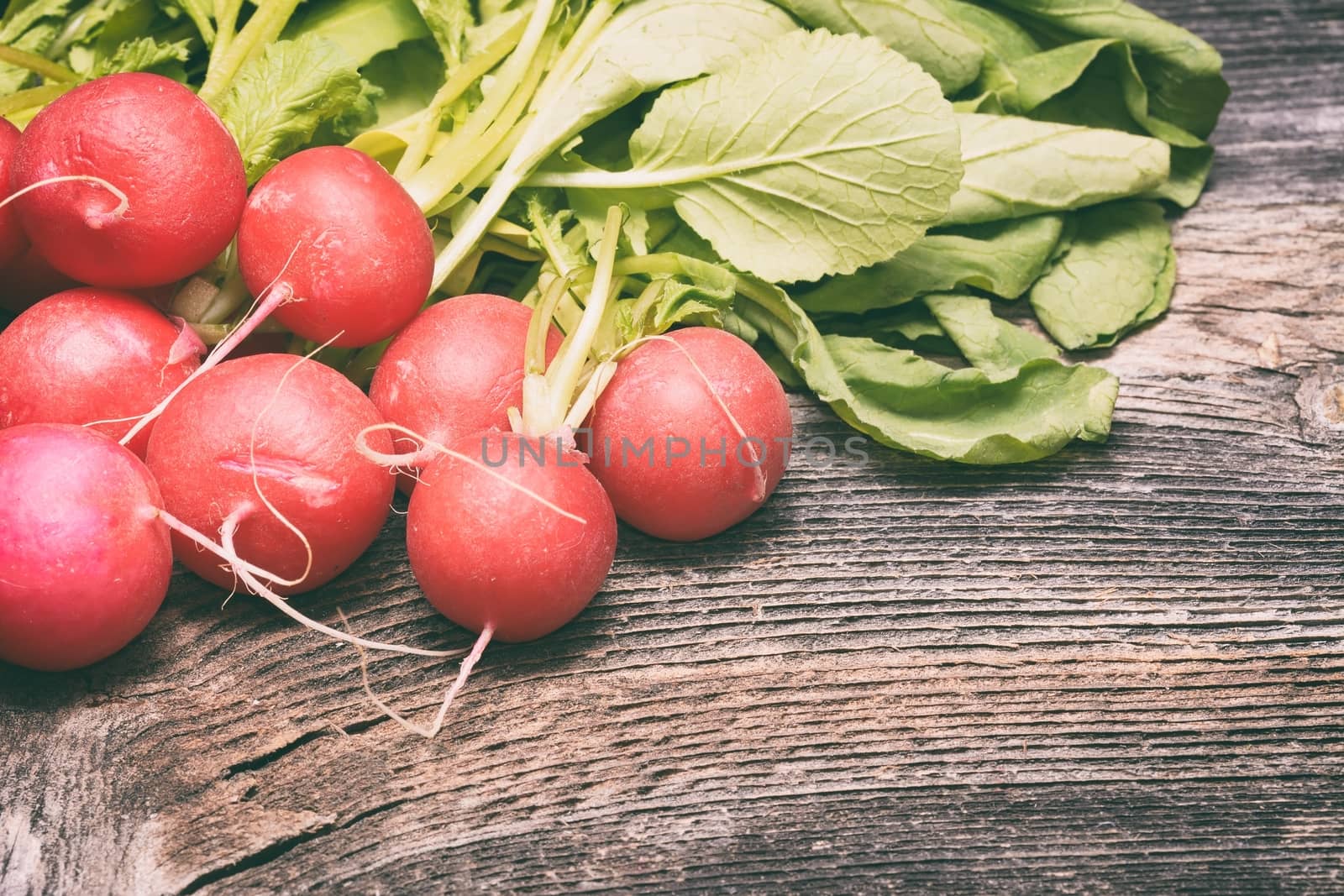 Fresh radishes on wooden table