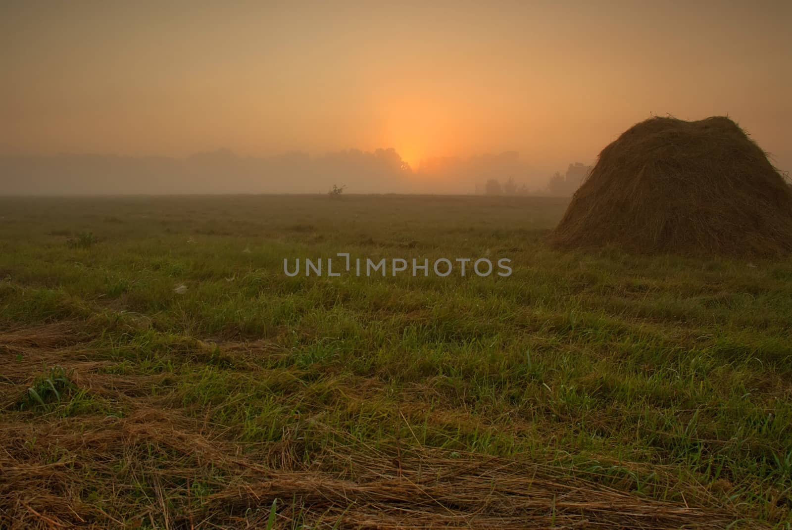 Poland,late summer.Dawn above meadows in the vicinity of the Narew river.On the foreground the one can see the mound of the cut grass and in the background of the fog and the glow of the rising sun.Horizontal view.