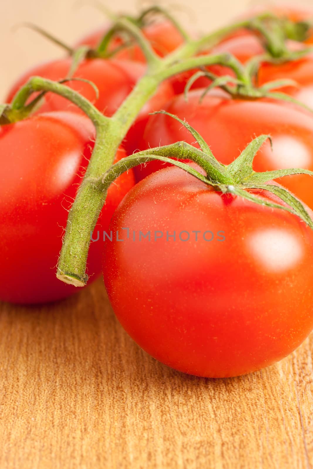 Cocktail Tomatoes by SouthernLightStudios
