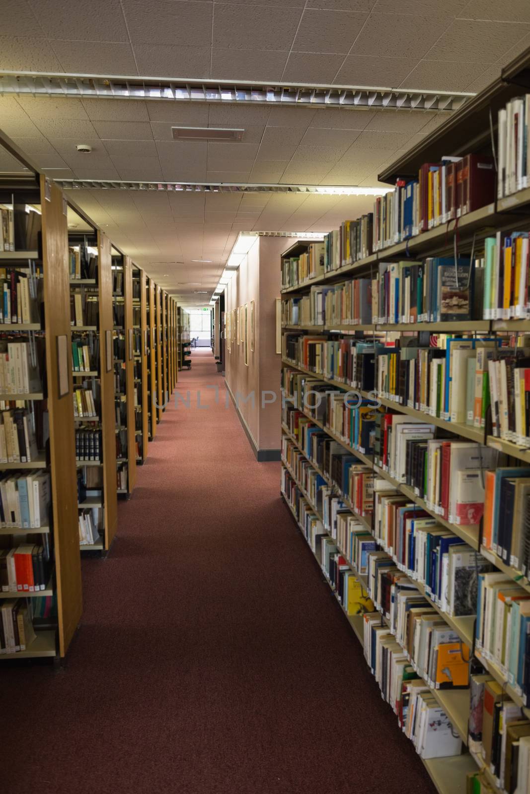 Volumes of books on bookshelf in library by Wavebreakmedia