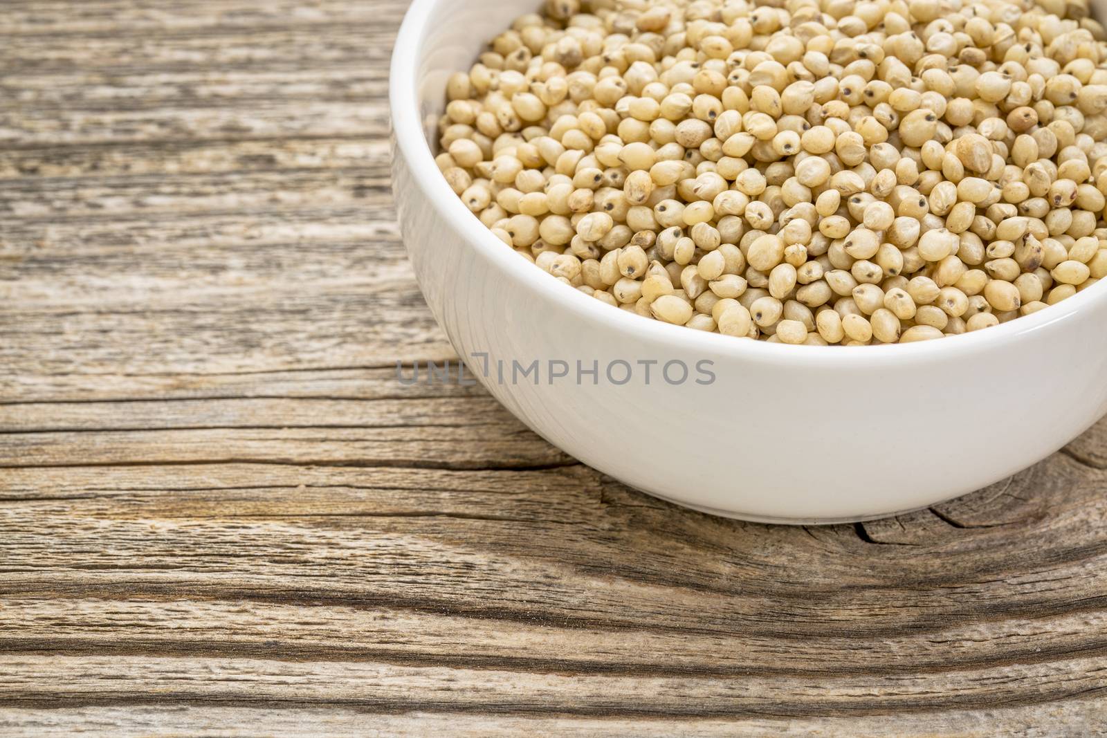 white sorghum grain by PixelsAway