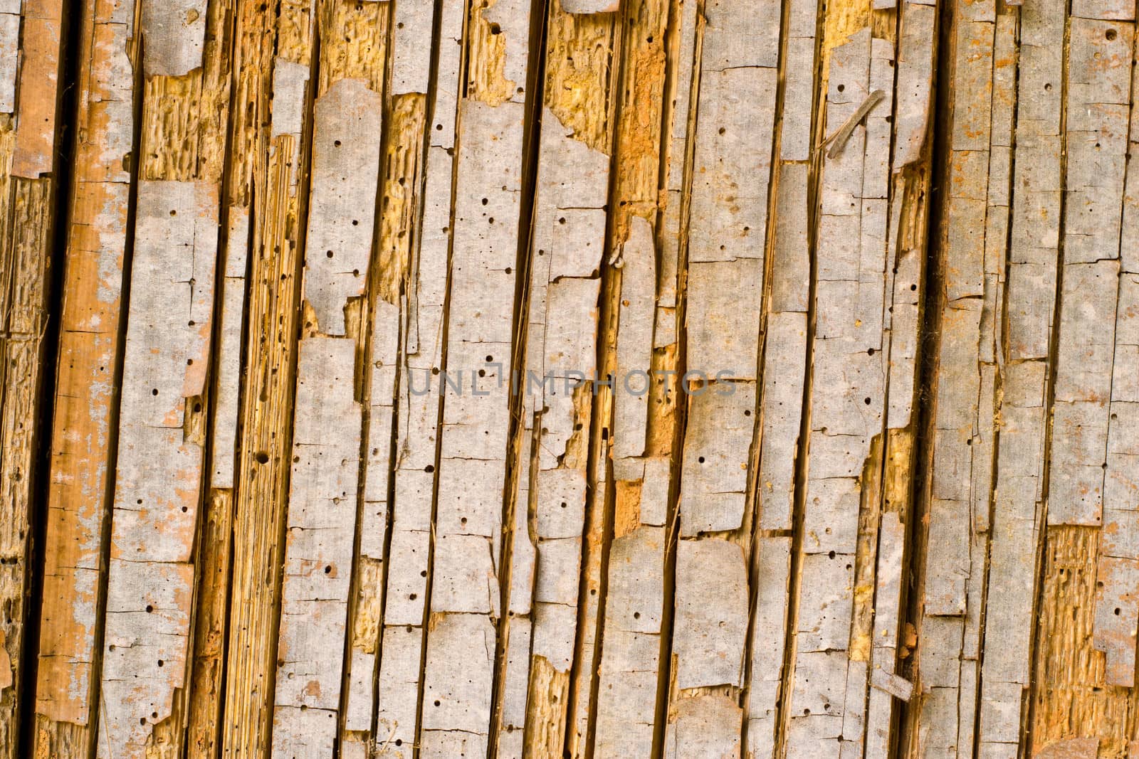 dry bamboo wood background, background and texture
