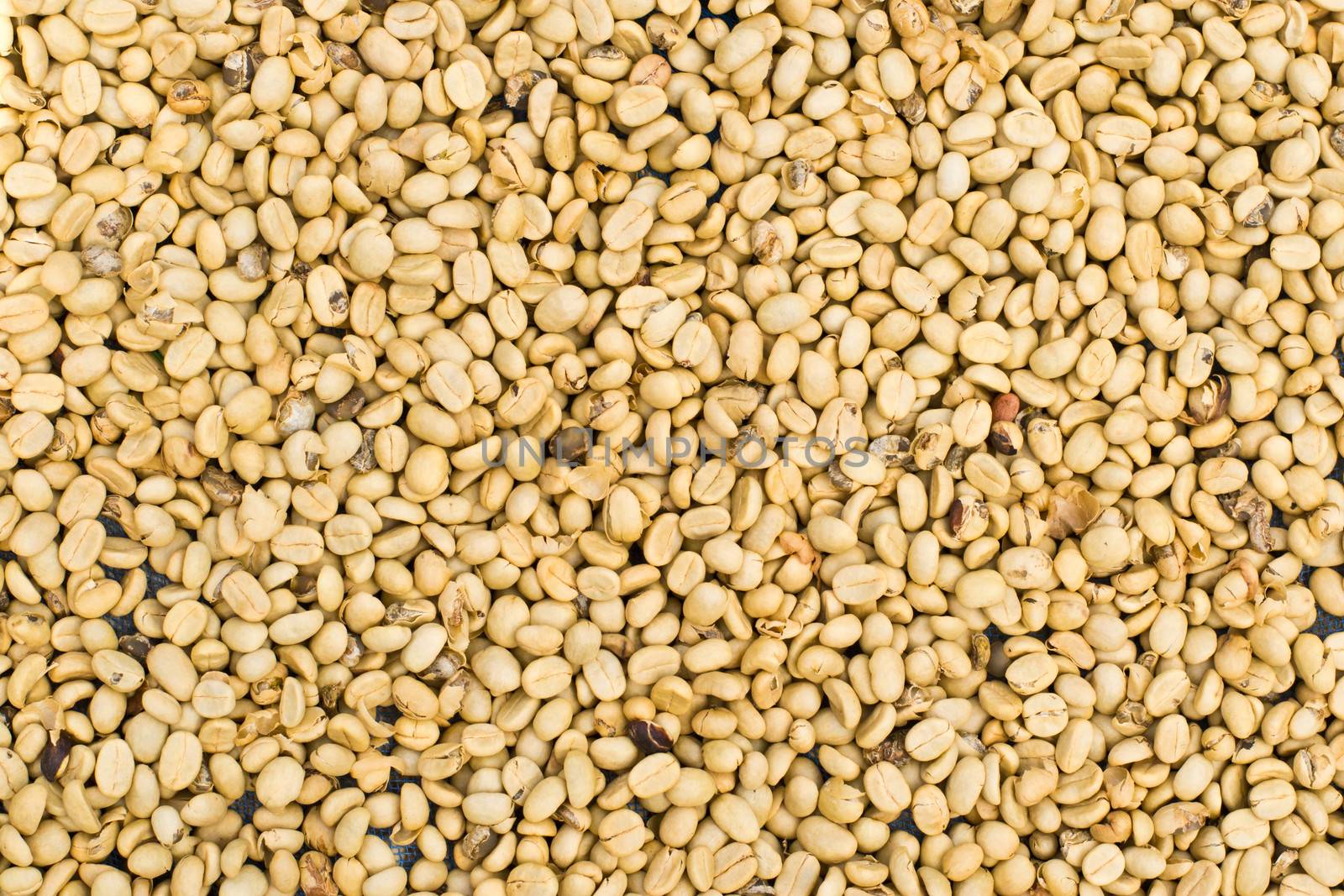 Close-up of coffee beans background