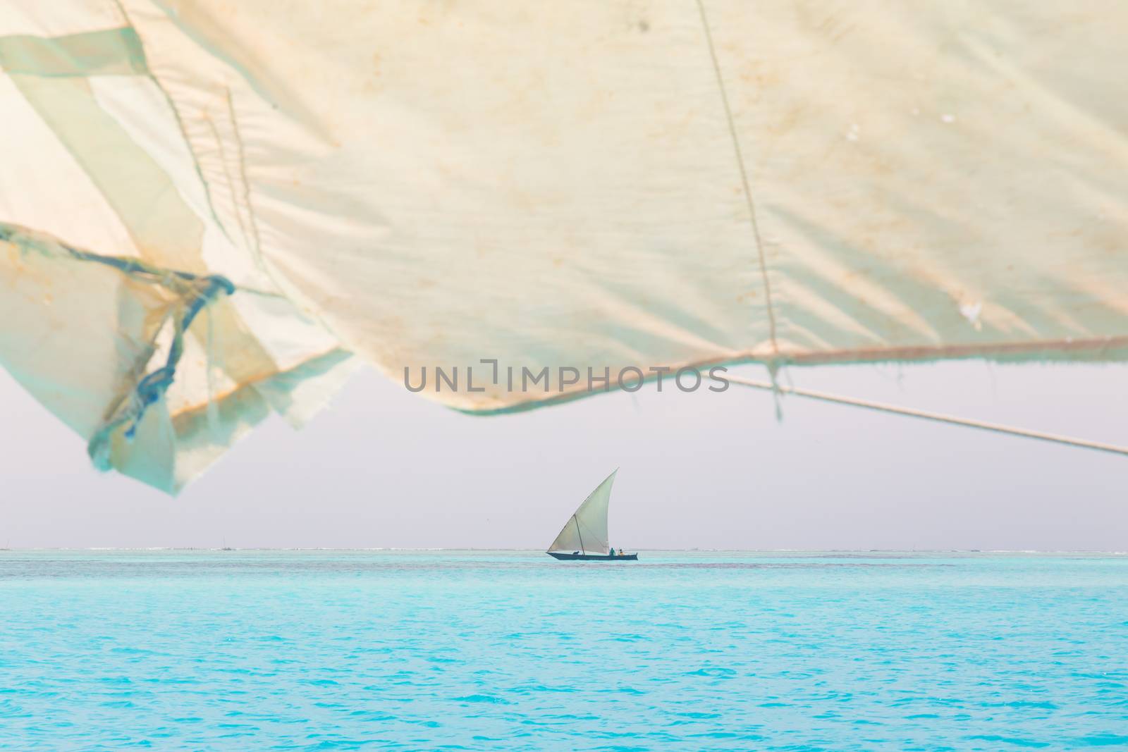 Traditional wooden sailboat sailing on a horizon of turquoise blue sea of Zanzibar, Tanzania, Afrika.