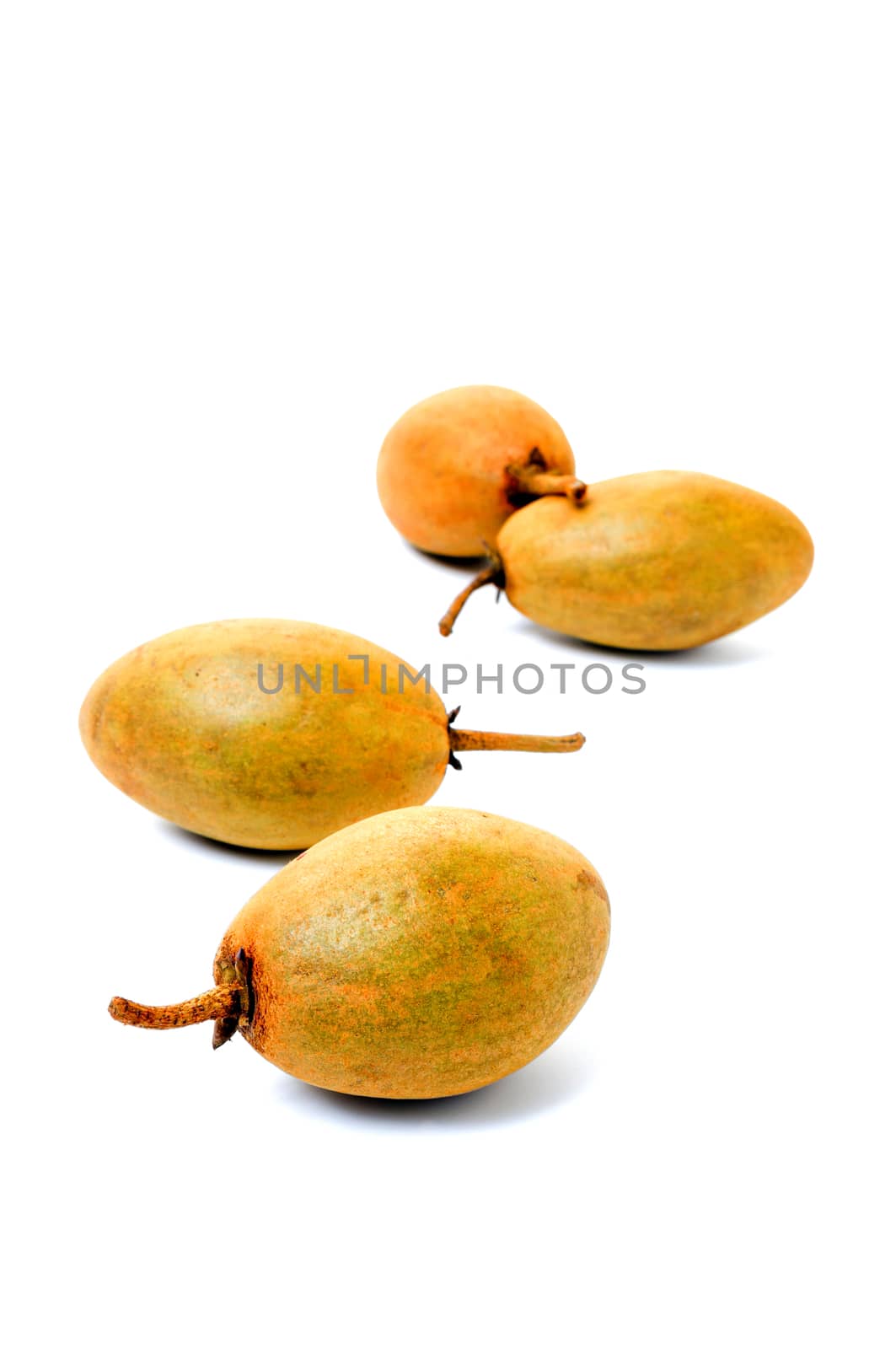 Fresh sapodillas isolated on white background  by pixbox77