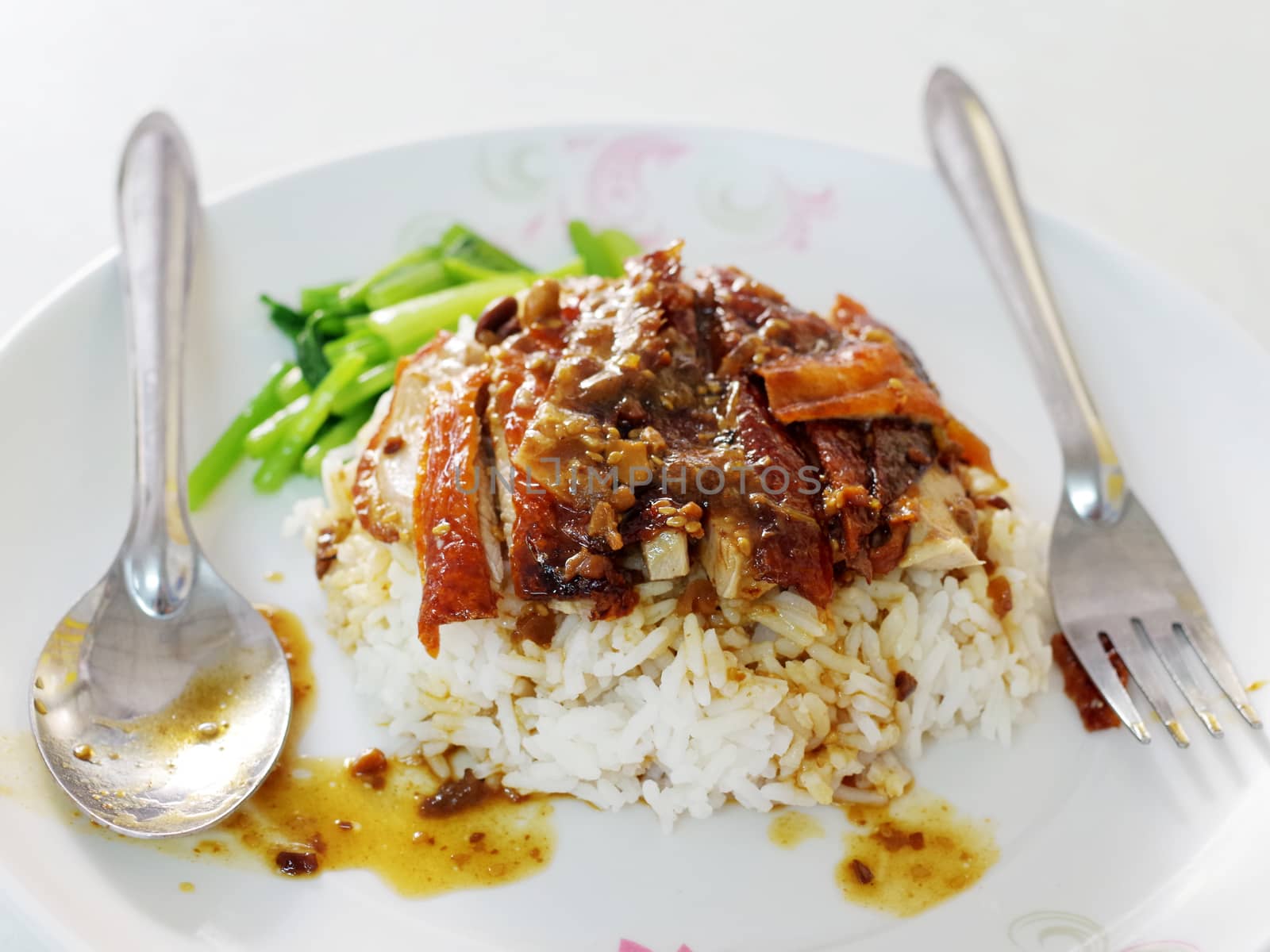 Roasted duck with rice by pixbox77