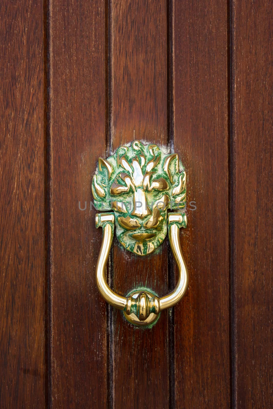 Knocker front door of the house Maltese by goghy73