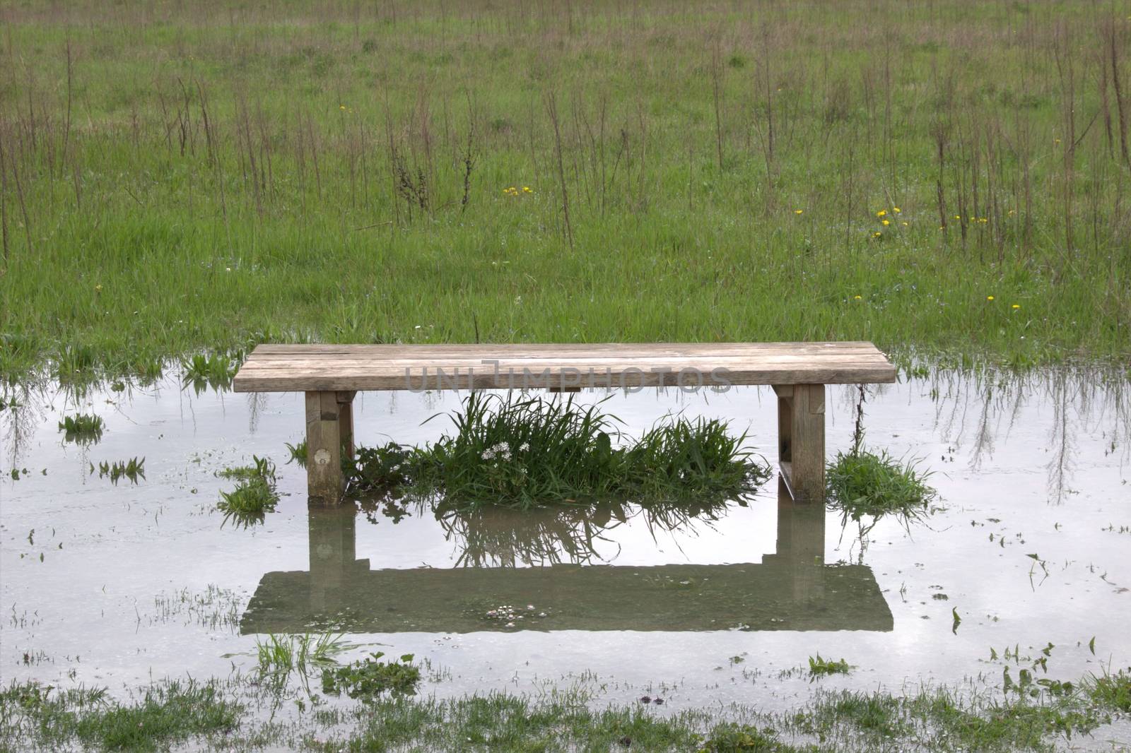 Bench in flooded field