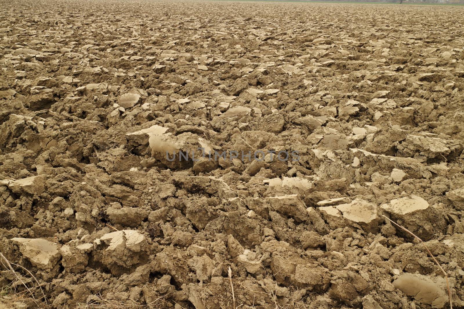 Plowed land near a river in Spring time