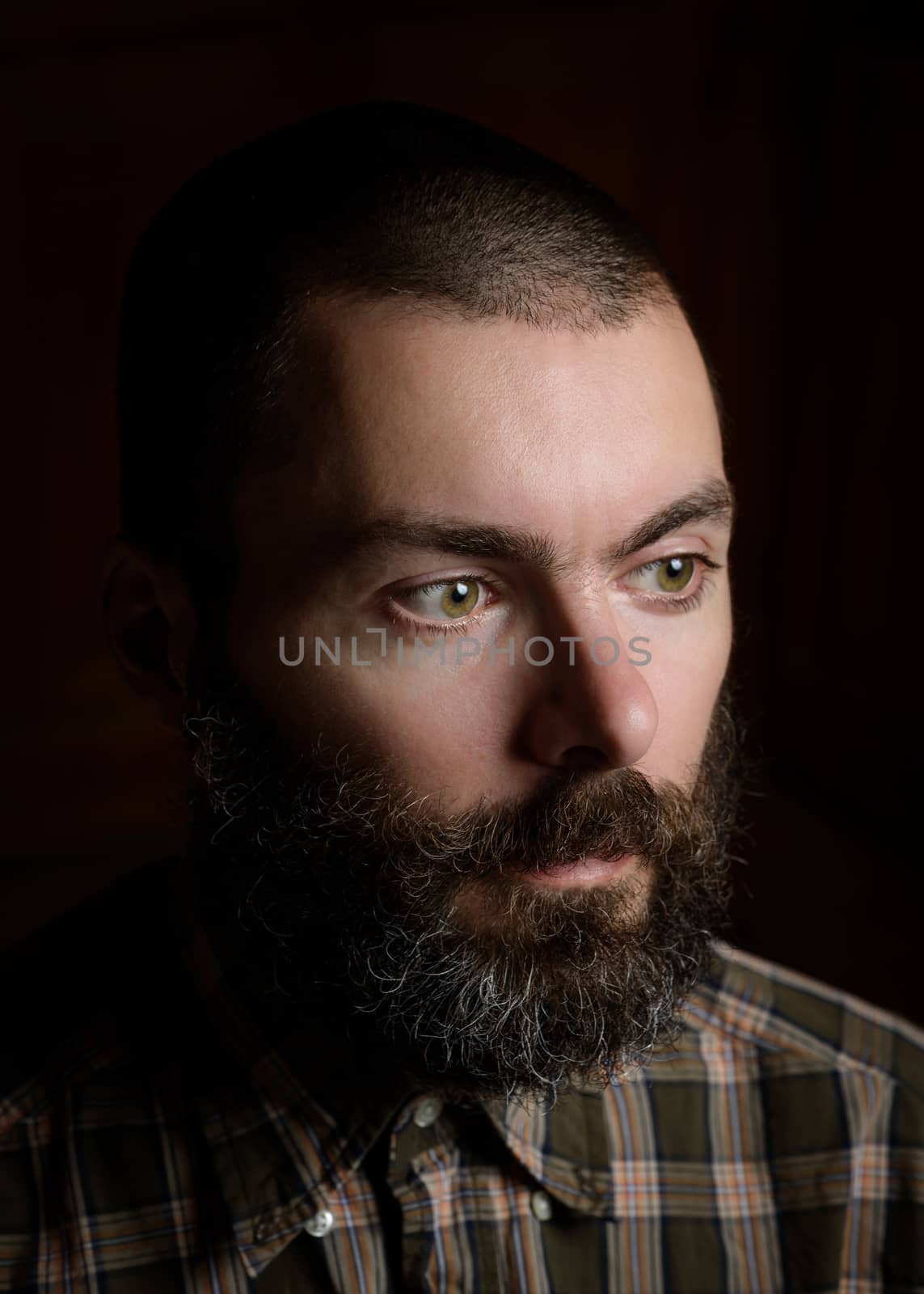 Portrait of a bearded man wearing a plaid shirt