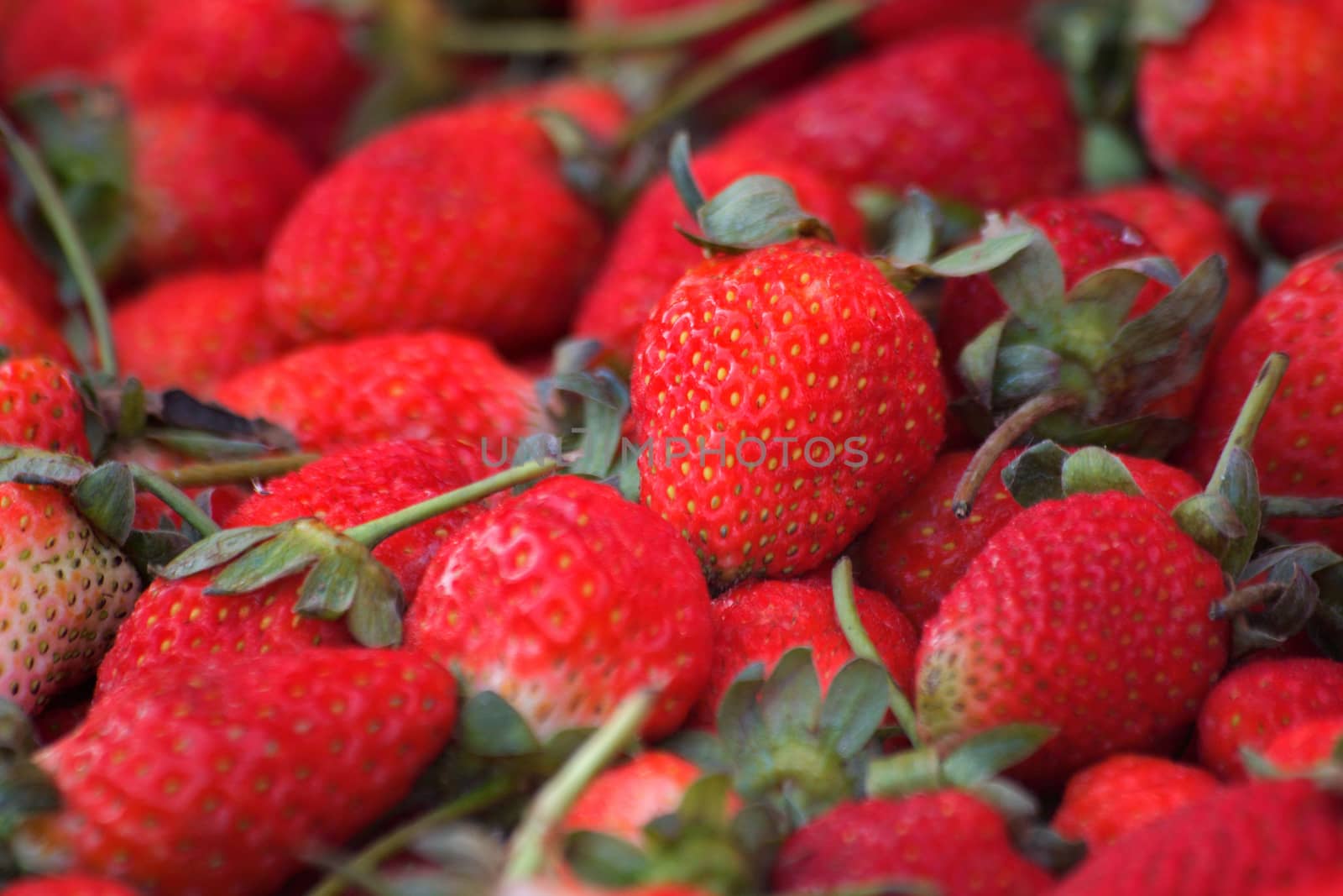Fresh strawberries background in market fruit