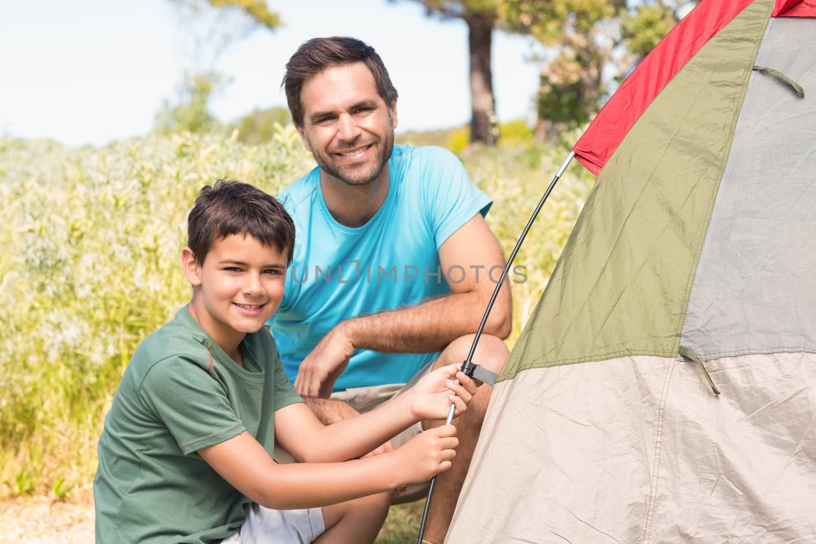 Father and son pitching their tent on a sunny day