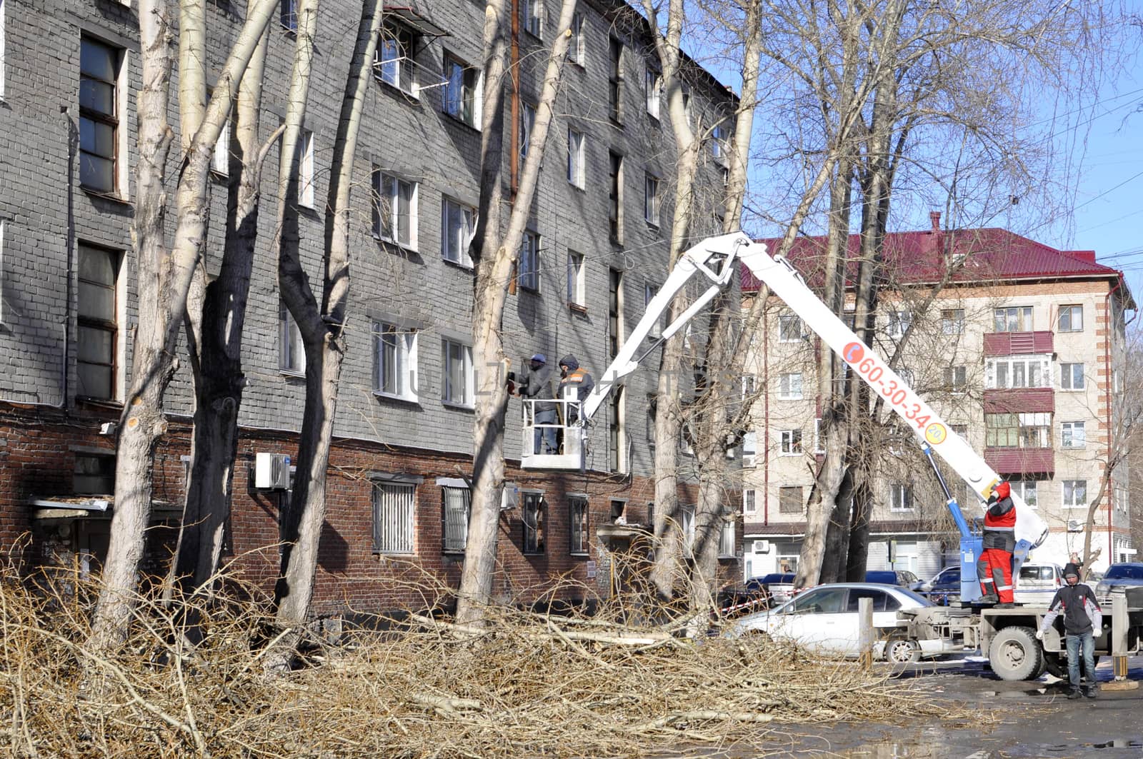 Spring cutting of trees in the city. Tyumen