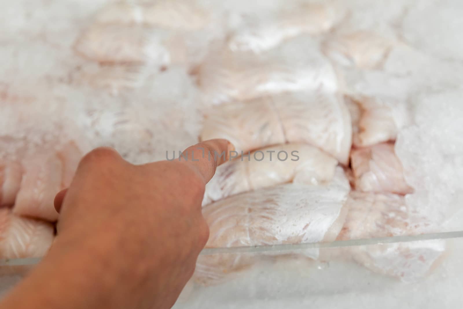 Woman pointing hake fillet by ifilms