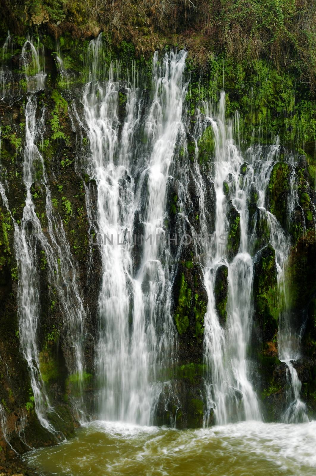 Mc Aurthur Burney falls in the Mt Sastha Region