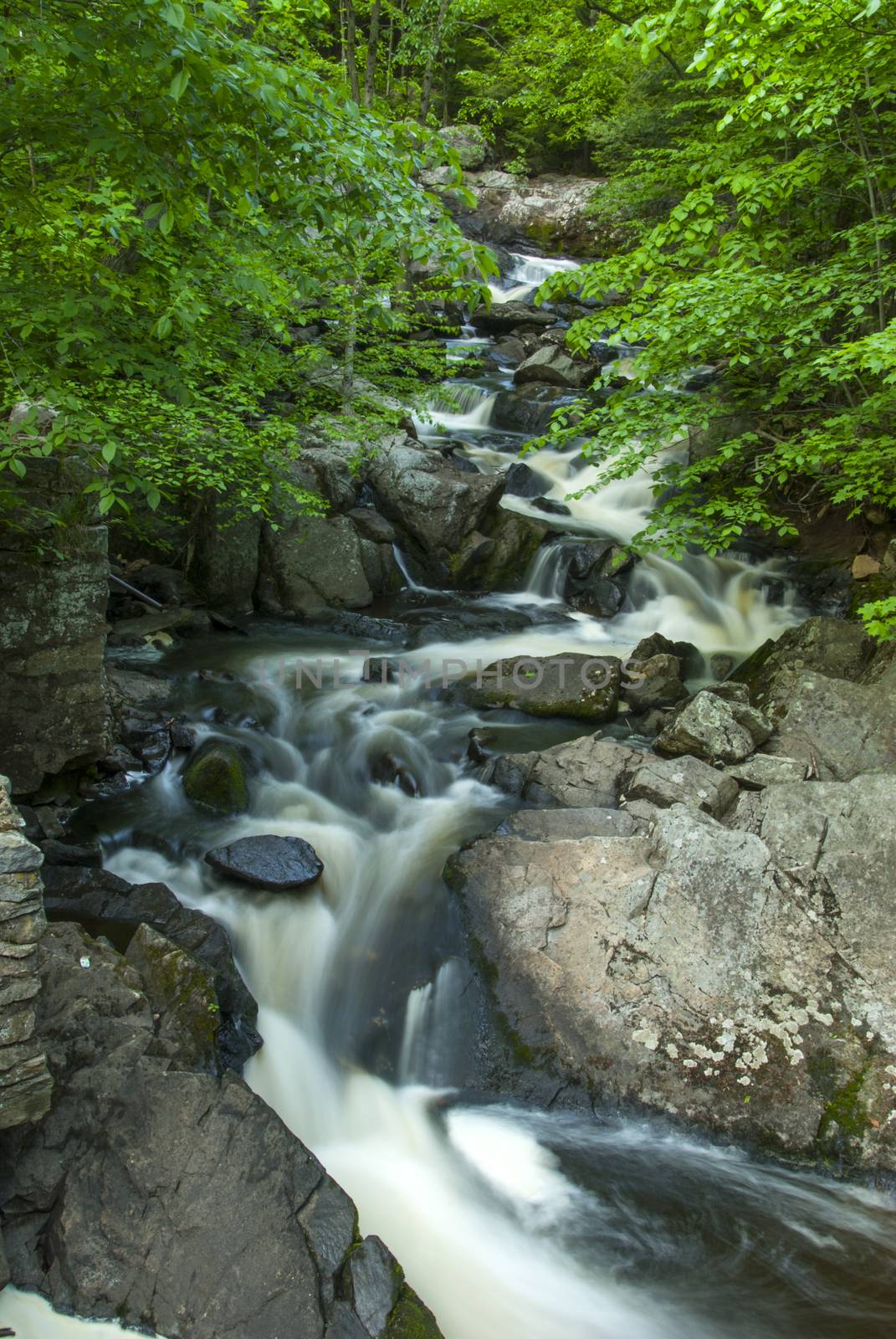 Mc Aurthur Burney falls in the Mt Sastha Region