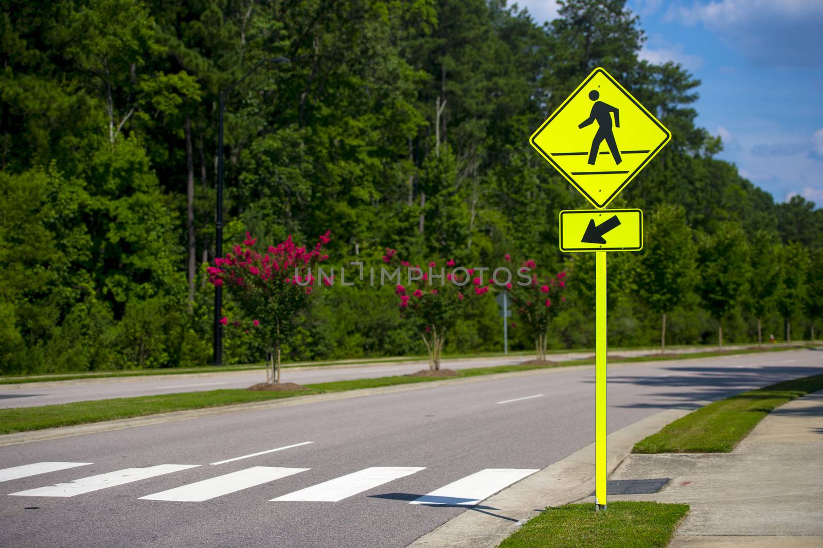 Pedestrian sign in a sunny day at a local road