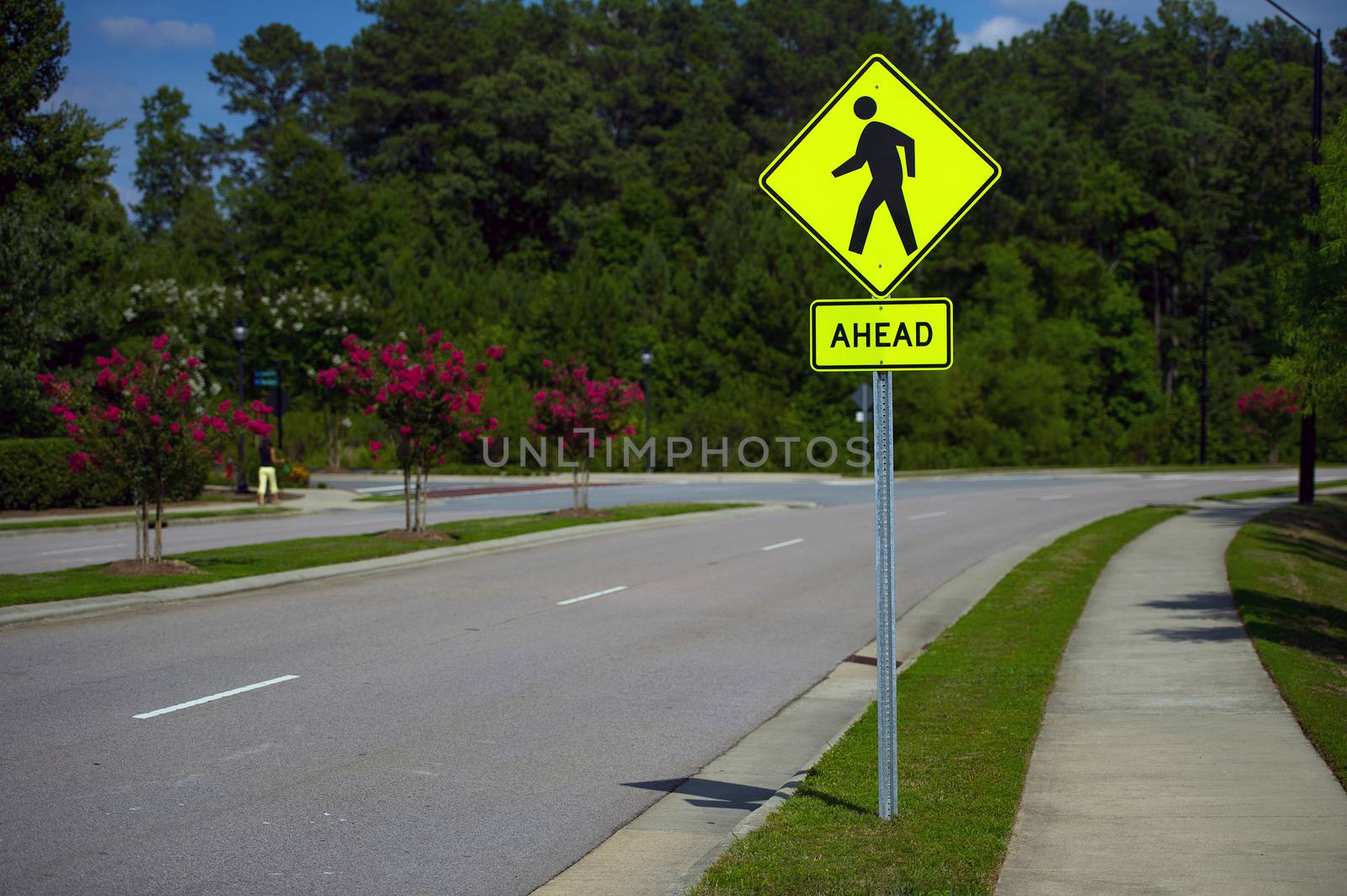 Pedestrian sign in a sunny day at a local road