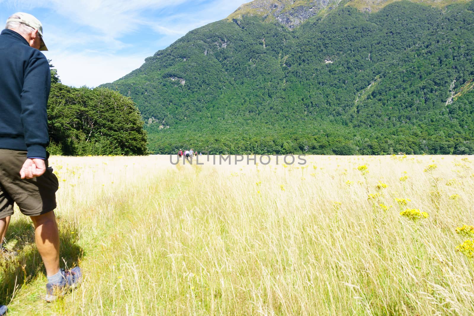 Man walks into frame on On a great New Zealand Walk, while other hikers are further ahead walking through valley between mountain ranges.