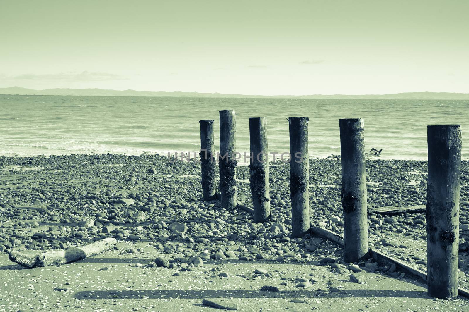 A cool overcast day at Tararu Beach, Thames, Coromandel, old jetty piles at low tide. Old fashioned or retro style image.