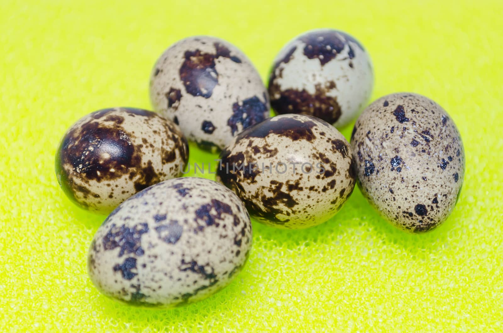 Six brown patterned quail eggs against a green background.
