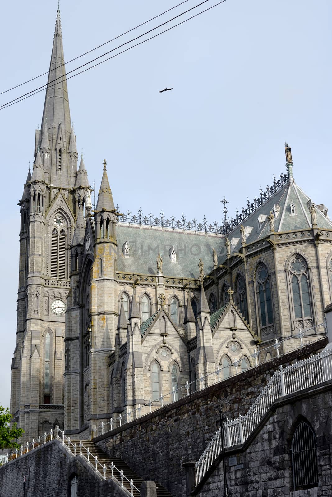 cobh cathedral in cork ireland by morrbyte