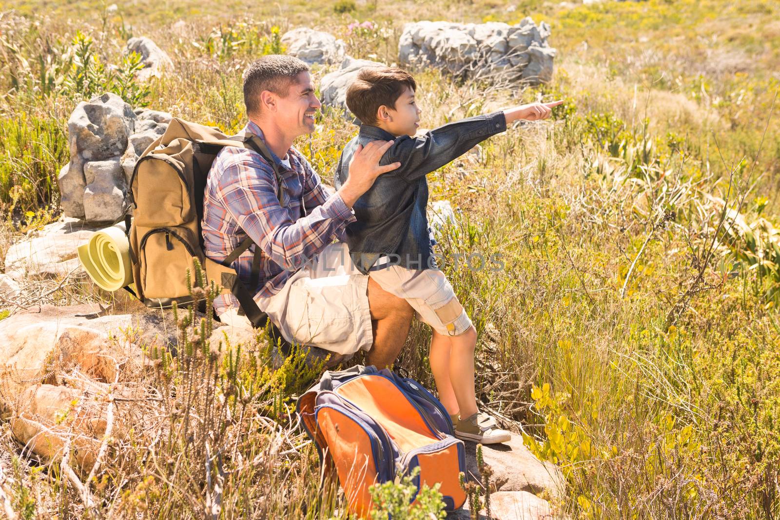 Father and son hiking in the mountains on a sunny day