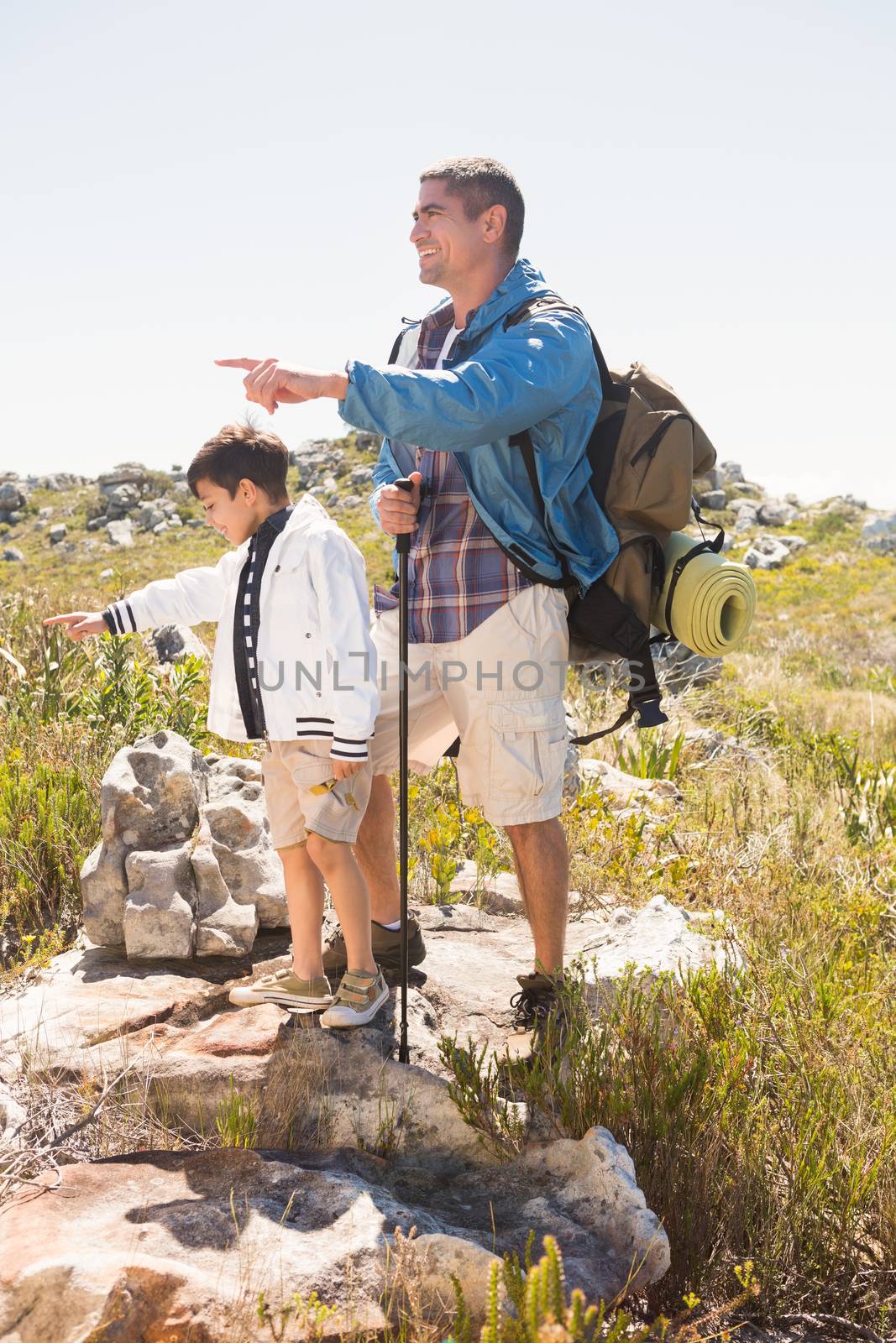 Father and son hiking in the mountains on a sunny day