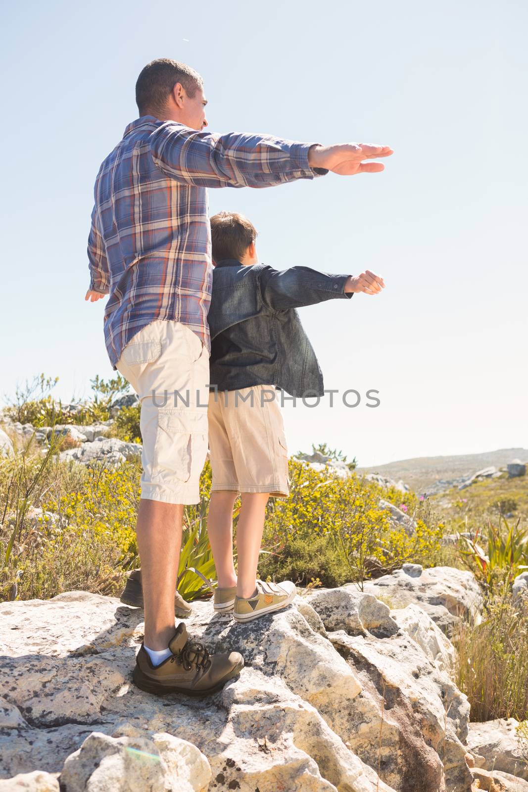 Father and son hiking in the mountains on a sunny day