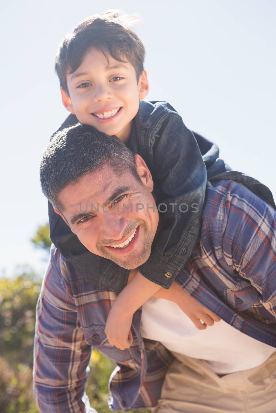 Father and son in the countryside  by Wavebreakmedia