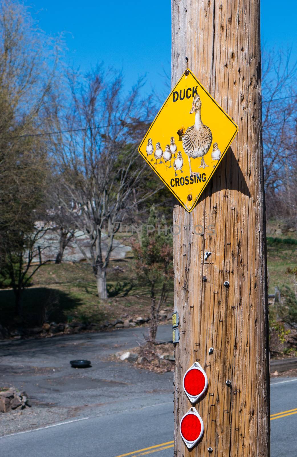 Yellow DUCK CROSSING road sign with ducks family on the plate and two red reflectors below