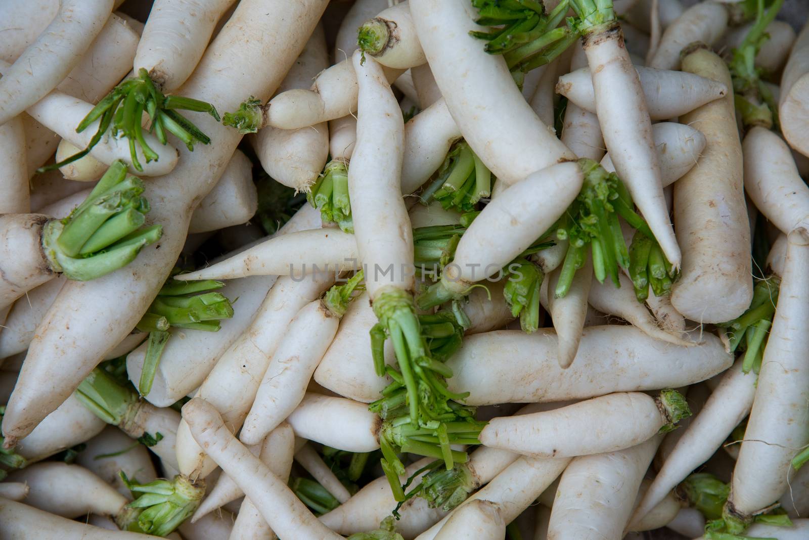 Fresh white radish at a locla market