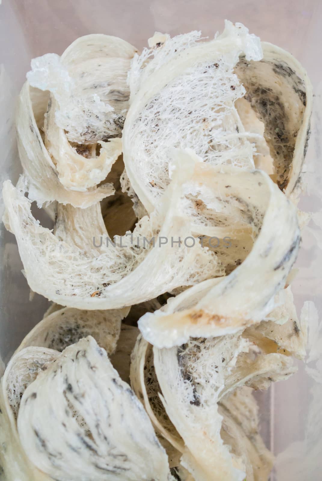 Nest of Edible-Nest Swiftlet, Raw food