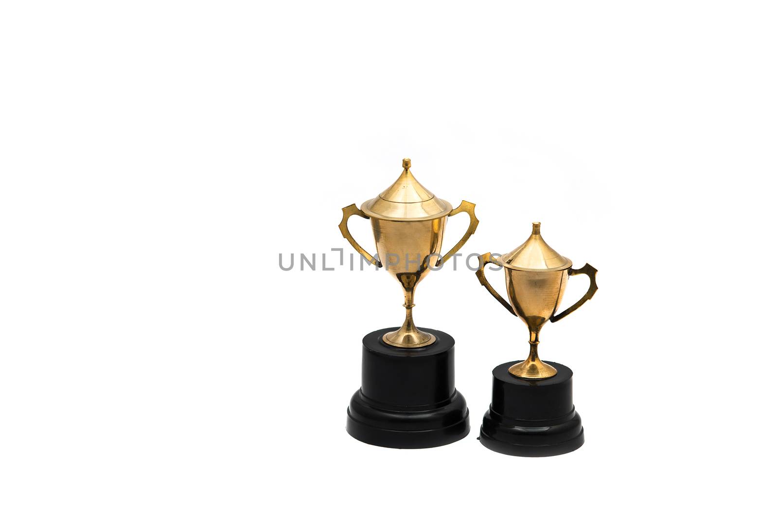 Trophy isolated on a white back ground