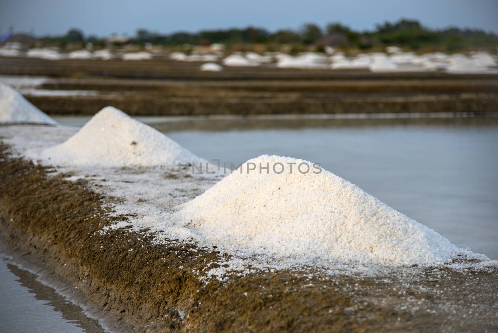 Freshly mined sea salt ready for packaging