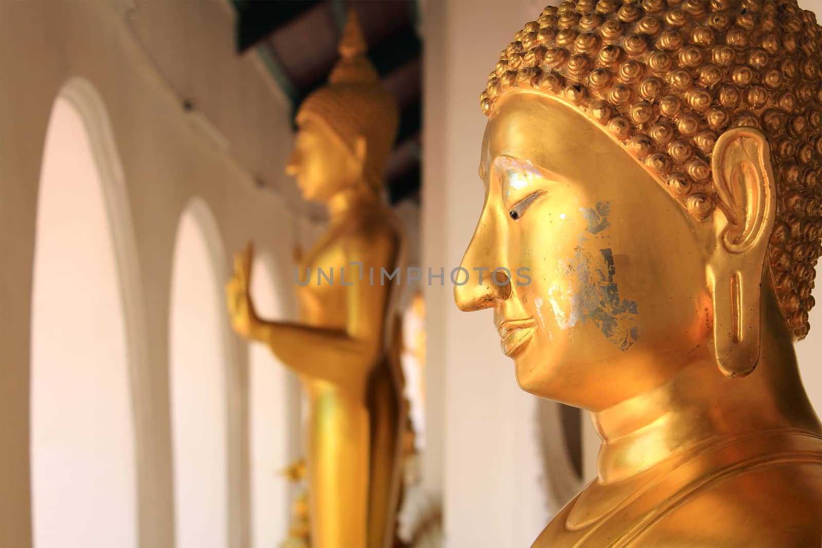 Buddha statue at Phra Prathom Jedi, Thailand by foto76