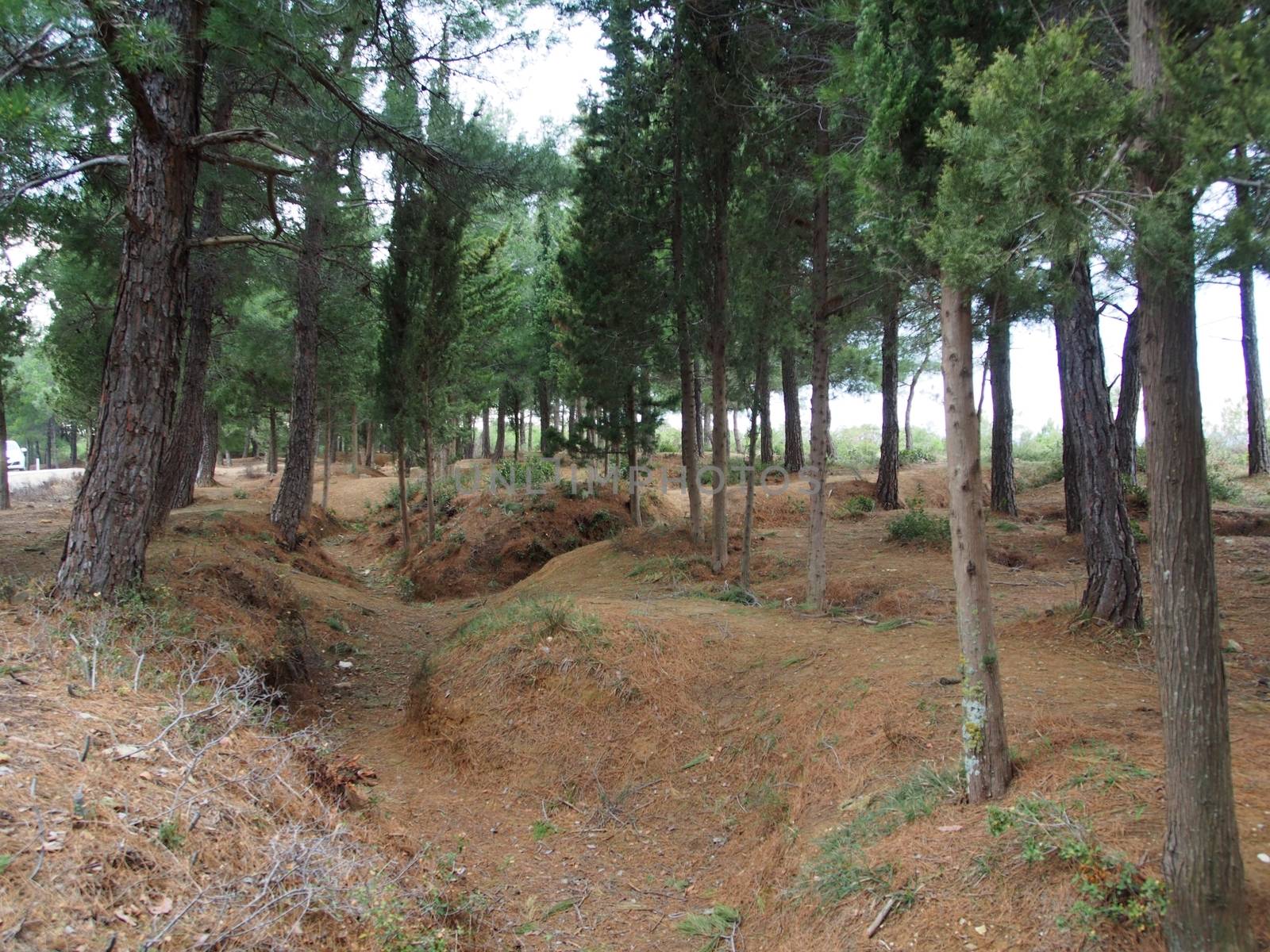 Remains of the 1915 ANZAC trenches at Gallipoli from World War 1, 100 years old.