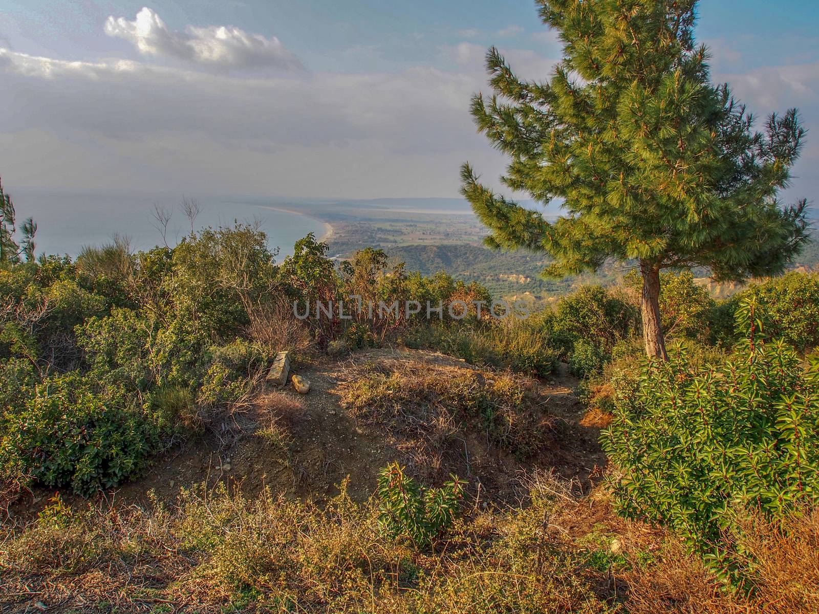 Remains of the 1915 ANZAC trenches at Gallipoli from World War 1, 100 years old.