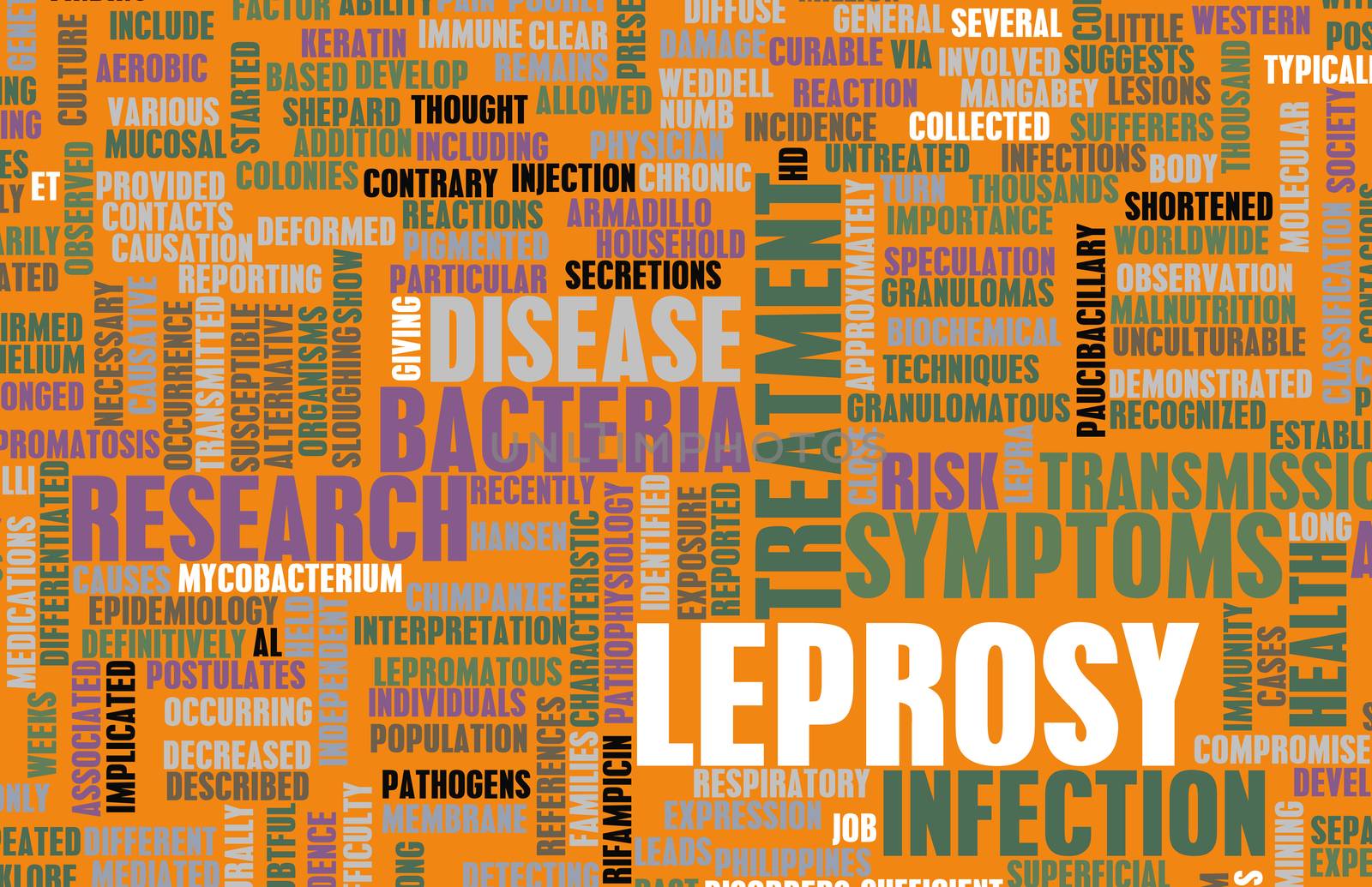 Leprosy Treatment and Research as a Concept
