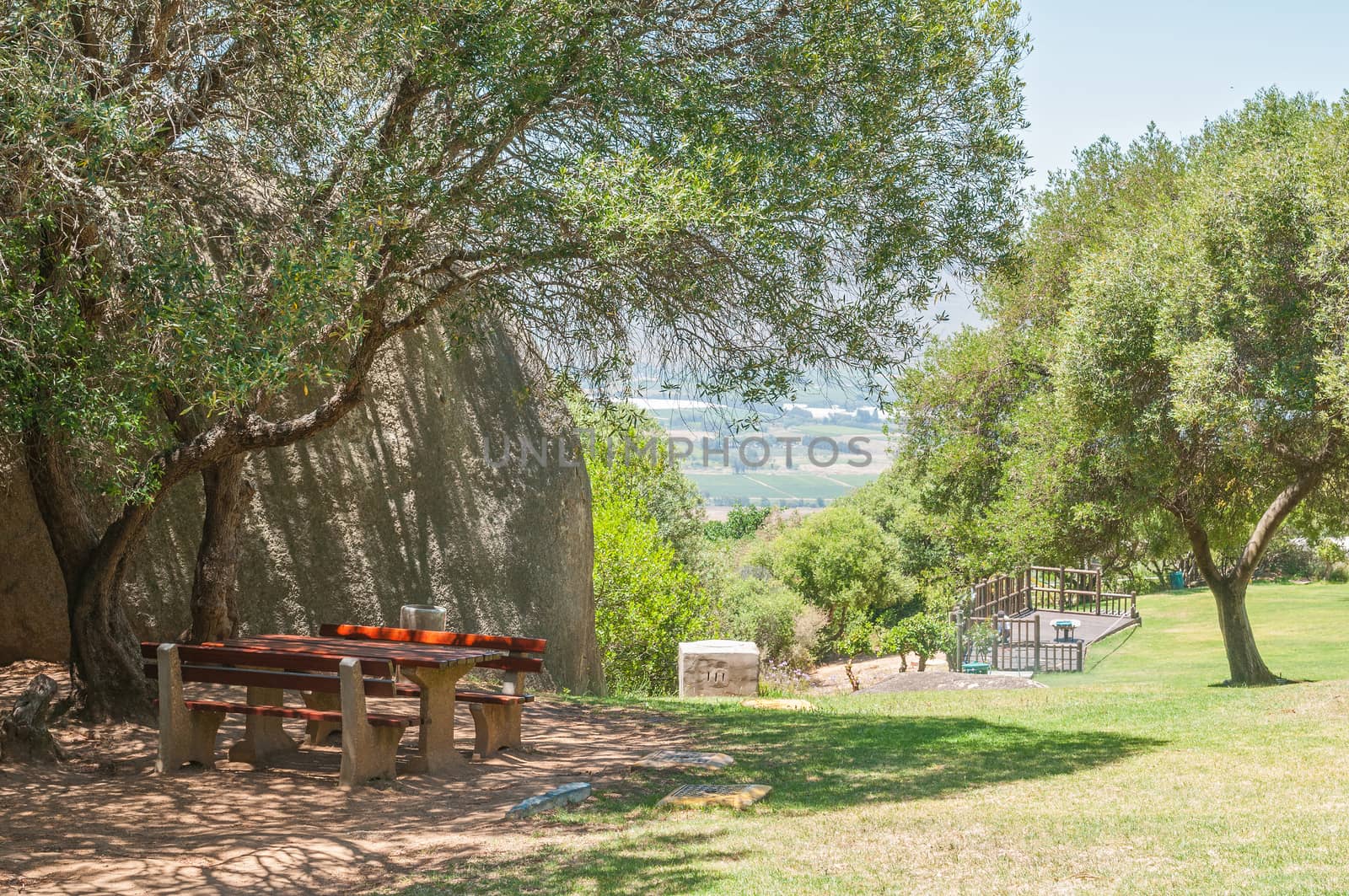 Shady picnic spot at the Afrikaans Language Monument in Paarl, South Africa
