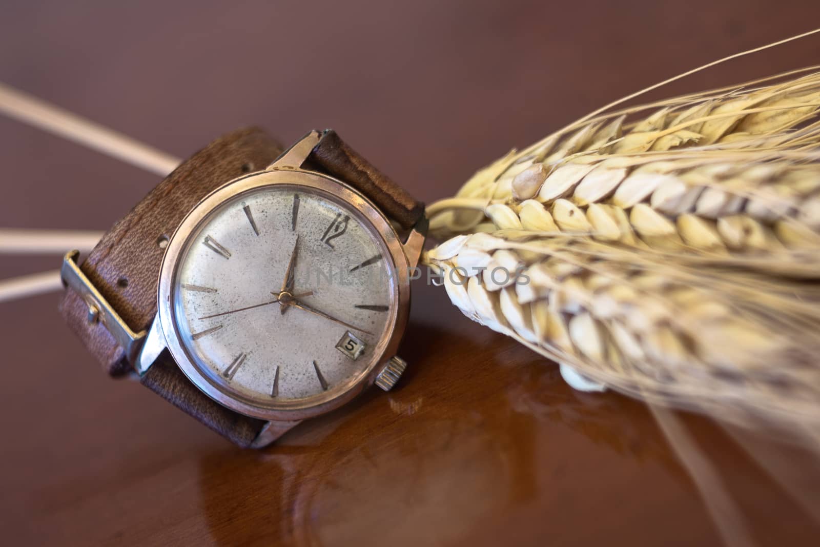 old wrist watch on a wooden base