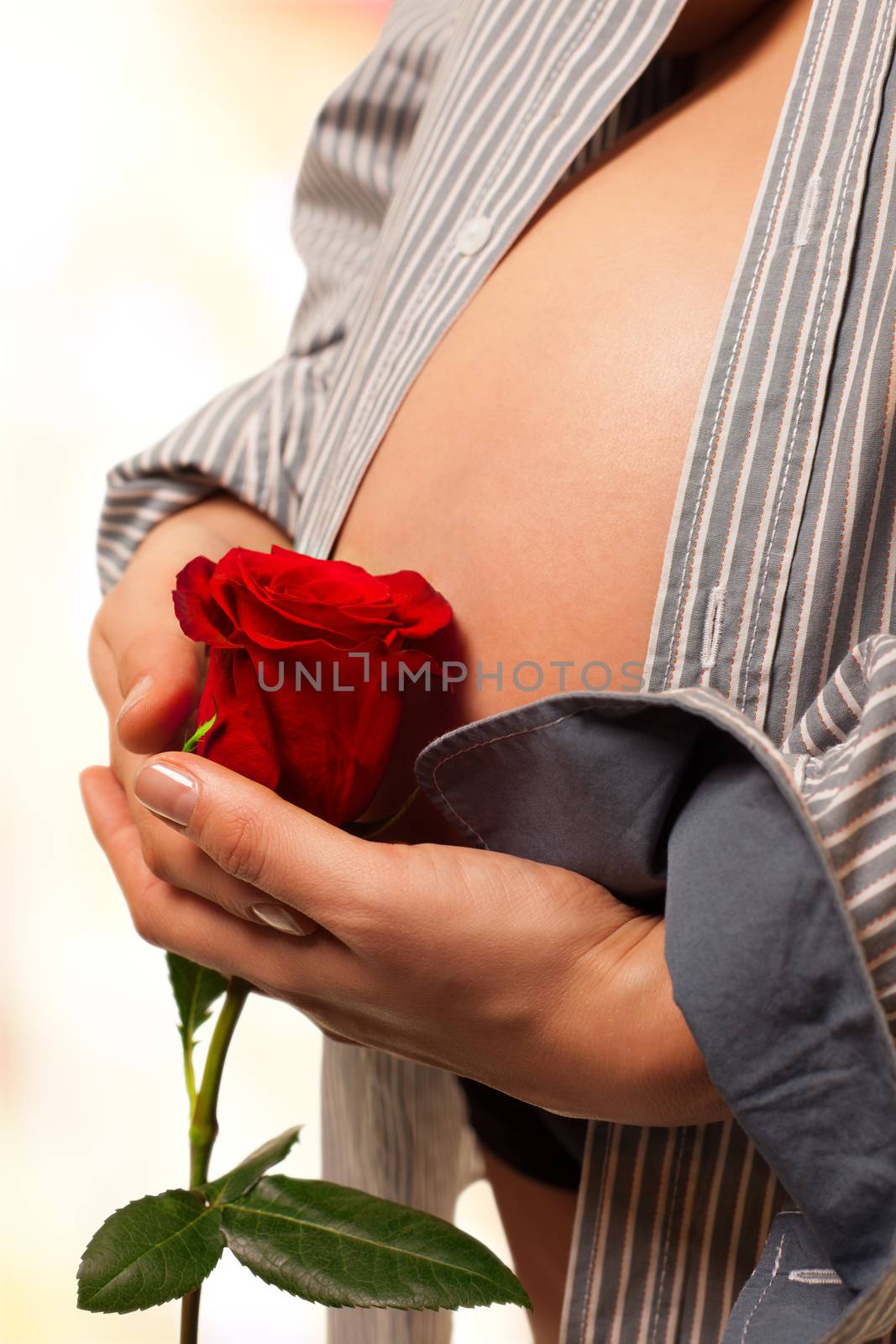 abdomen red rose pregnancy by vilevi