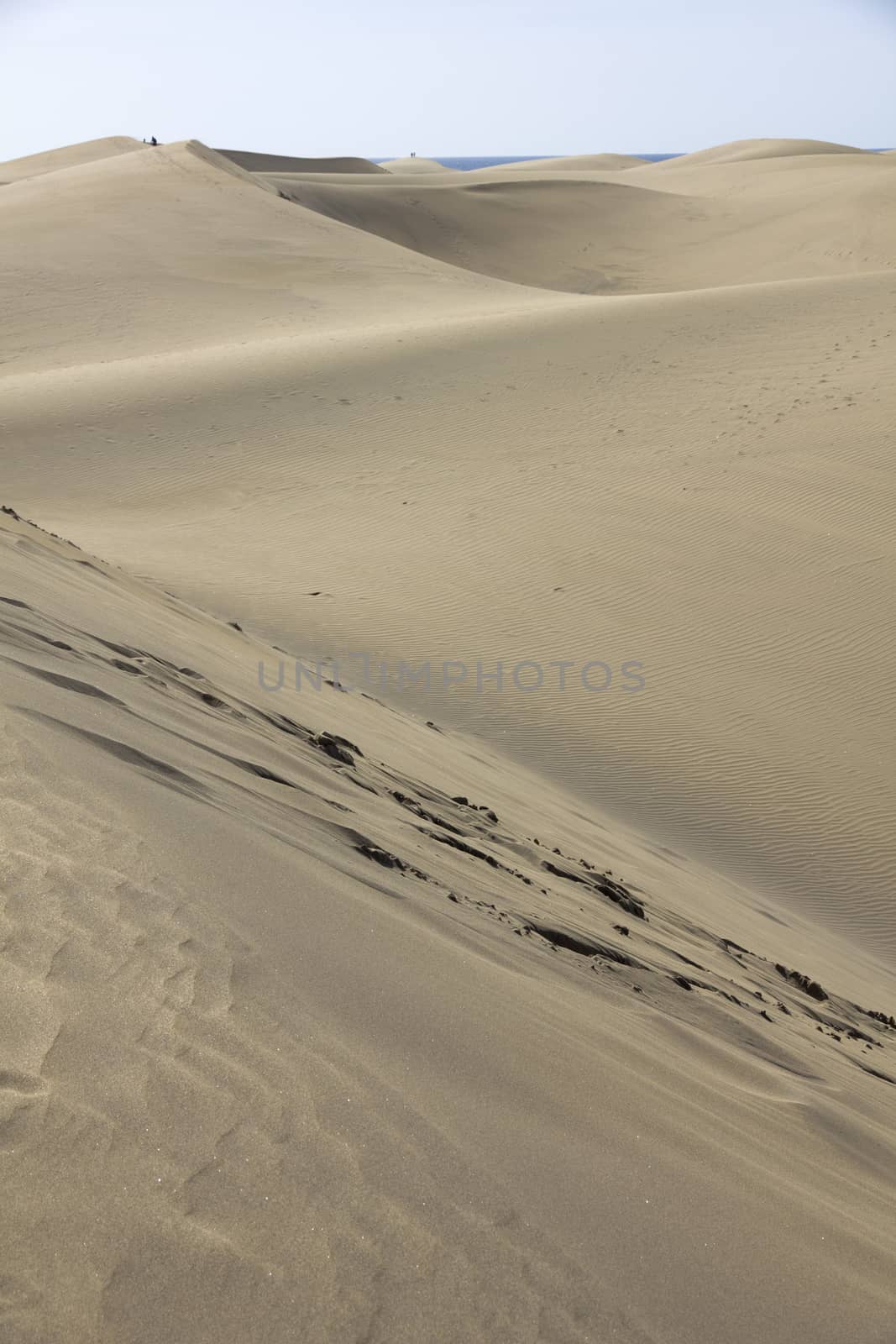 Spain. Canary Islands. Gran Canaria island. Dunes of Maspalomas