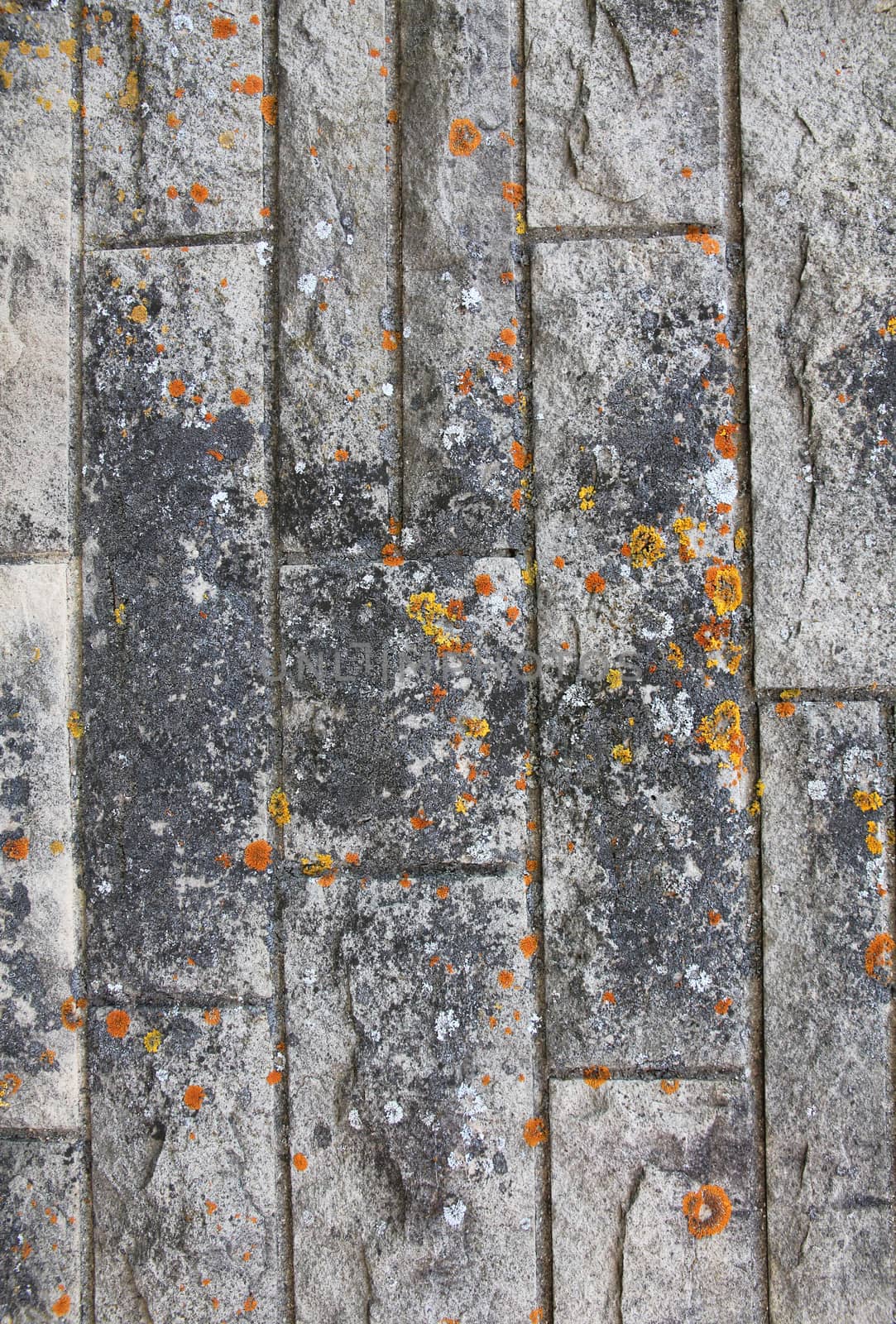 Abstract stone grunge texture with mold as background by oxanatravel