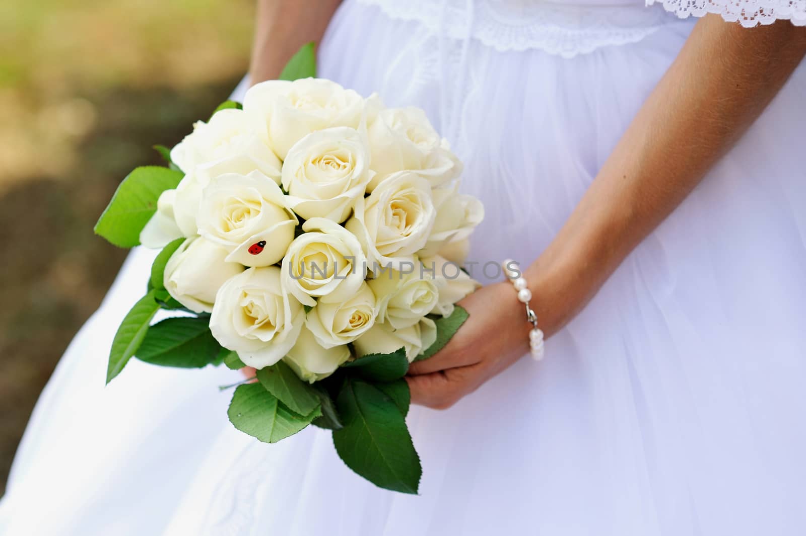 Wedding bouquet of white roses in bride's hands