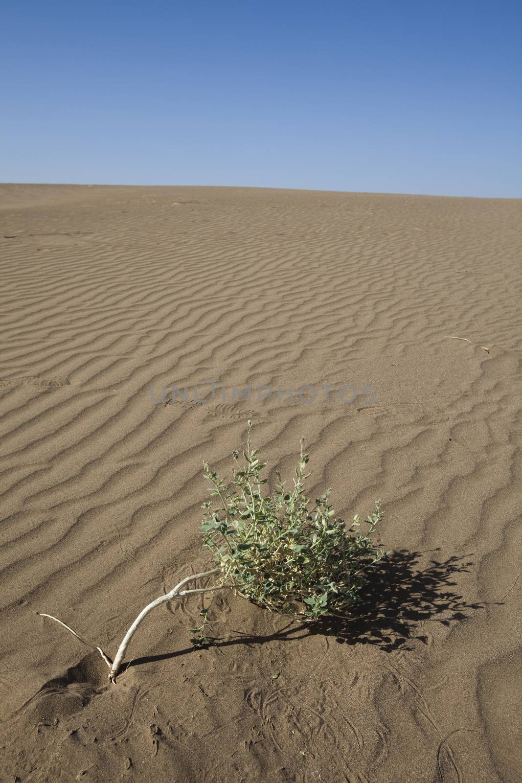 Sand background, wonderful saturated travel theme